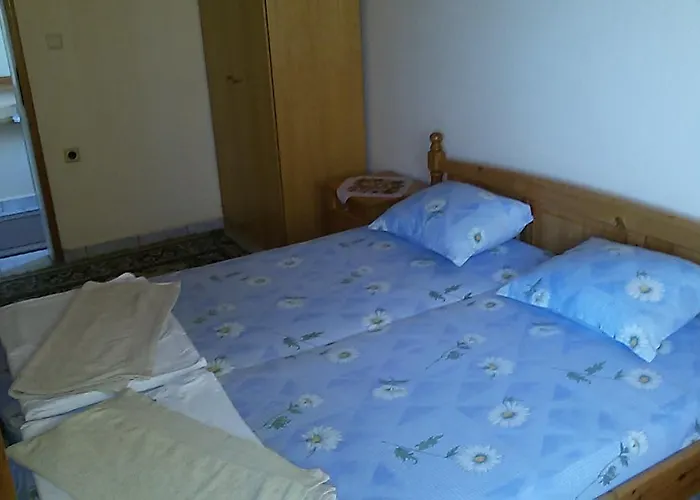 Famili Barba Yani Nisipurile de Aur