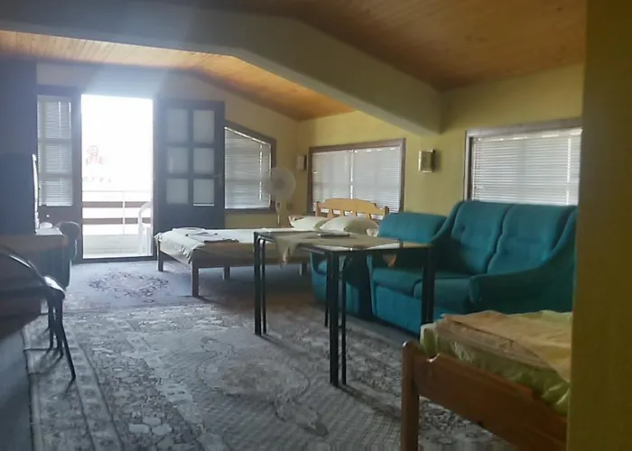 Famili Barba Yani Nisipurile de Aur