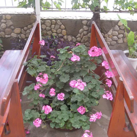 Hotel Famili Barba Yani