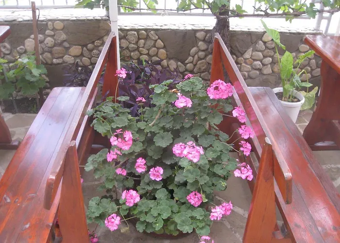 Hotel Famili Barba Yani